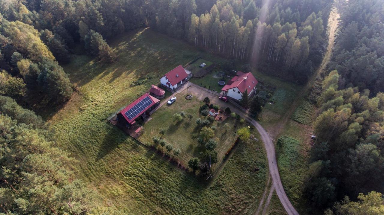 Pokoje W Lesie Miłomłyn Esterno foto