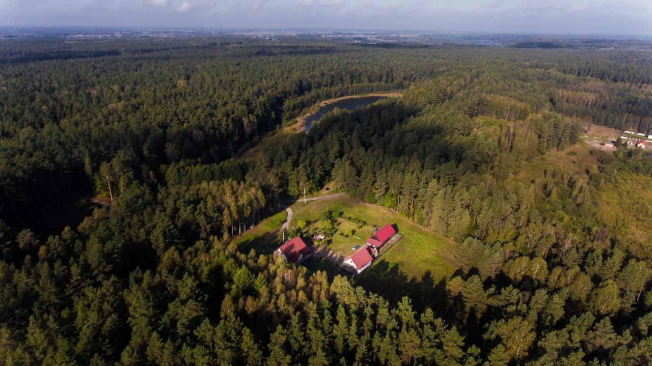 Pokoje W Lesie Miłomłyn Esterno foto