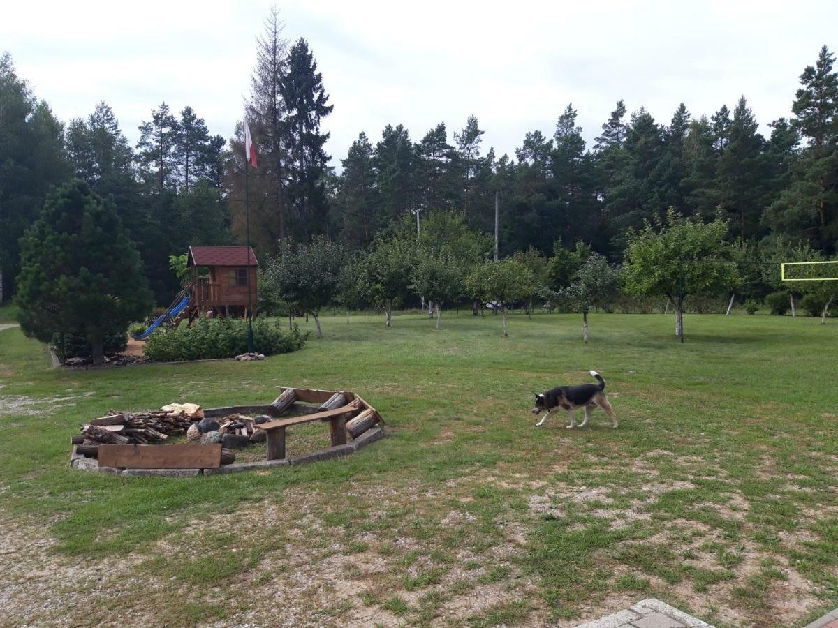 Pokoje W Lesie Miłomłyn Esterno foto